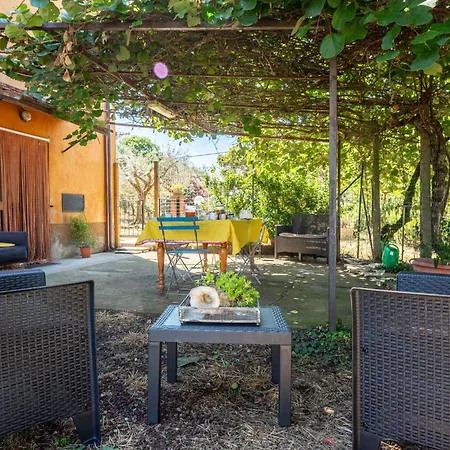 Podere Cavaceppi By Interhome Feriehus Pitigliano