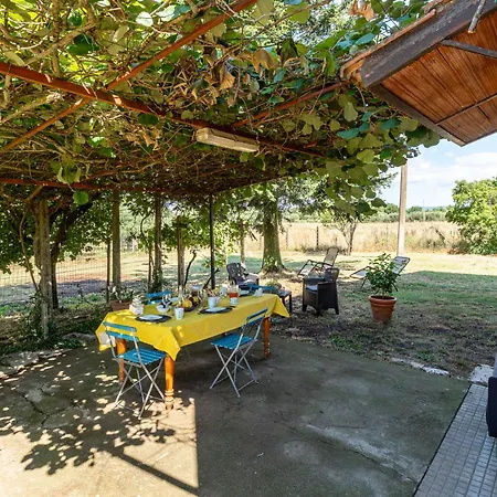 Podere Cavaceppi By Interhome Prázdninový dům *